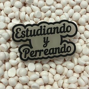 BAD BUNNY 🐰“Estudiando y Perreando” Custom Shoe Charm